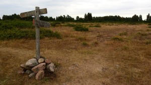 directory-1008468_640